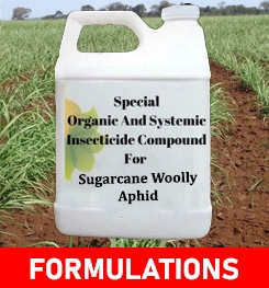 Formulations And Production Process of Organic And Systemic Insecticide Compound For Sugarcane Woolly Aphid