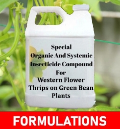 Formulations And Production Process of Organic And Systemic Insecticide Compound For Western Flower Thrips on Green Bean Plants