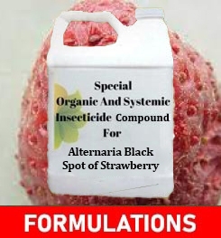 Formulations And Production Process of Organic And Systemic Fungicide Compound For Alternaria Black Spot of Strawberry