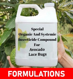 Formulations And Production Process of Organic And Systemic Insecticide Compound For Avocado Lace Bugs