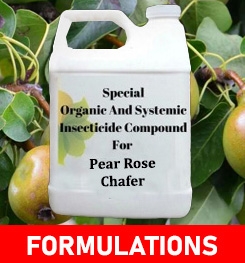 Formulations And Production Process of Organic And Systemic Insecticide Compound For Pear Rose Chafer