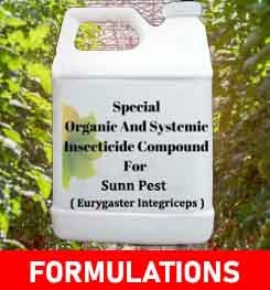 Formulations And Production Process of Organic And Systemic Insecticide Compound For Sunn Pest ( Eurygaster Integriceps )