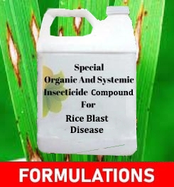 Formulations And Production Process of Organic And Systemic Fungicide Compound For Rice Blast Disease
