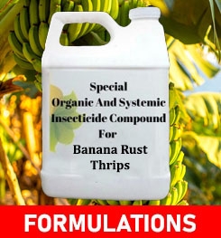 Formulations And Production Process of Organic And Systemic Insecticide Compound For Banana Rust Thrips