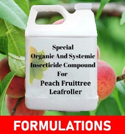 Formulations And Production Process of Organic And Systemic Insecticide Compound For Peach Fruittree Leafroller