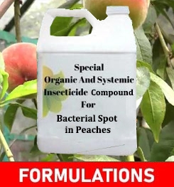 Formulations And Production Process of Organic And Systemic Fungicide Compound For Bacterial Spot in Peaches
