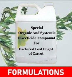 Formulations And Production Process of Organic And Systemic Fungicide Compound For Bacterial Leaf Blight of Carrot