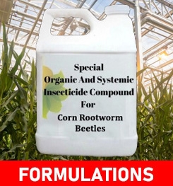 Formulations And Production Process of Organic And Systemic Insecticide Compound For Corn Rootworm Beetles