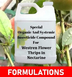 Formulations And Production Process of Organic And Systemic Insecticide Compound For Westren Flower Thrips in Nectarine