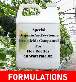 Formulations And Production Process of Organic And Systemic Insecticide Compound For Flea Beetles on Watermelon