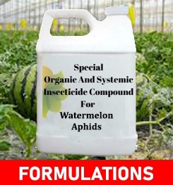 Formulations And Production Process of Organic And Systemic Insecticide Compound For Watermelon Aphids