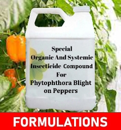 Formulations And Production Process of Organic And Systemic Fungicide Compound For Phytophthora Blight on Peppers