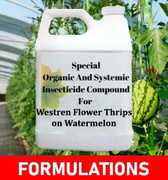 Formulations And Production Process of Organic And Systemic Insecticide Compound For Westren Flower Thrips on Watermelon