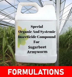 Formulations And Production Process of Organic And Systemic Insecticide Compound For Sugarbeet Armyworm