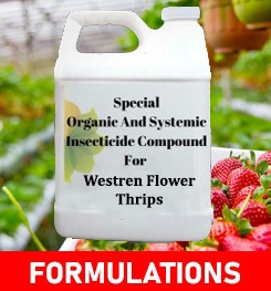 Formulations And Production Process of Organic And Systemic Insecticide Compound For Westren Flower Thrips