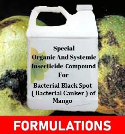 Formulations And Production Process of Organic And Systemic Fungicide Compound For Bacterial Black Spot ( Bacterial Canker ) of Mango