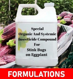 Formulations And Production Process of Organic And Systemic Insecticide Compound For Stink Bugs on Eggplant