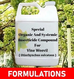 Formulations And Production Process of Organic And Systemic Insecticide Compound For Vine Weevil ( Otiorhynchus sulcataus )