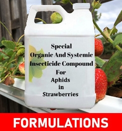 Formulations And Production Process of Organic And Systemic Insecticide Compound For Aphids in Strawberries