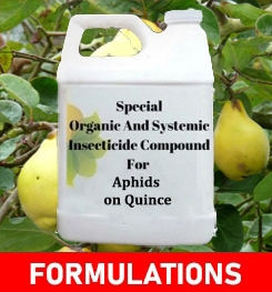 Formulations And Production Process of Organic And Systemic Insecticide Compound For Aphids on Quince