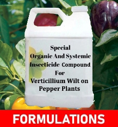Formulations And Production Process of Organic And Systemic Fungicide Compound For Verticillium Wilt on Pepper Plants