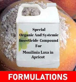 Formulations And Production Process of Organic And Systemic Fungicide Compound For Monilinia Laxa in Apricot