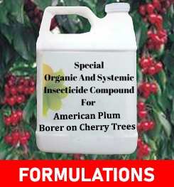 Formulations And Production Process of Organic And Systemic Insecticide Compound For American Plum Borer on Cherry Trees