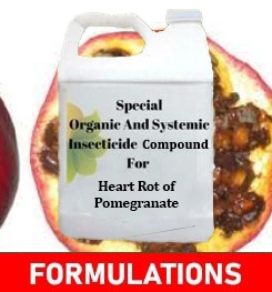 Formulations And Production Process of Organic And Systemic Fungicide Compound For Heart Rot of Pomegranate