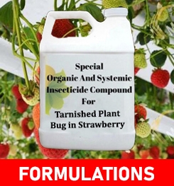 Formulations And Production Process of Organic And Systemic Insecticide Compound For Tarnished Plant Bug in Strawberry