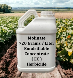 Molinate 720 Grams / Liter Emulsifiable Concentrate ( EC ) Herbicide Formulations And Production Process