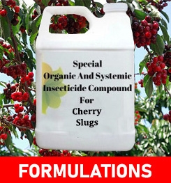 Formulations And Production Process of Organic And Systemic Insecticide Compound For Cherry Slugs