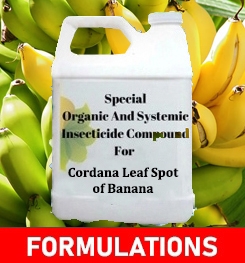 Formulations And Production Process of Organic And Systemic Fungicide Compound For Cordana Leaf Spot of Banana