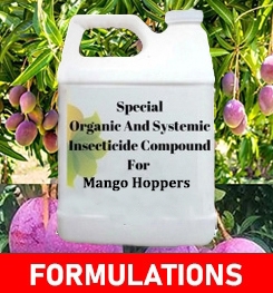 Formulations And Production Process of Organic And Systemic Insecticide Compound For Mango Hoppers