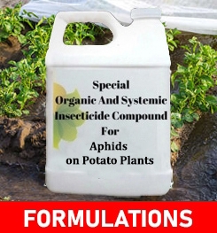 Formulations And Production Process of Organic And Systemic Insecticide Compound For Aphids on Potato Plants