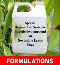 Formulations And Production Process of Organic And Systemic Insecticide Compound For Nectarine Lygus Bugs