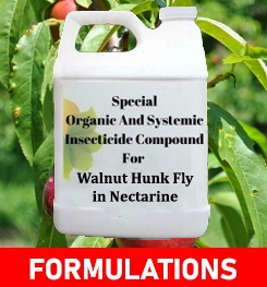 Formulations And Production Process of Organic And Systemic Insecticide Compound For Walnut Hunk Fly in Nectarine