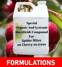 Formulations And Production Process of Organic And Systemic Insecticide Compound For Spider Mites on Cherry on trees