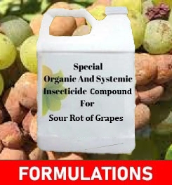 Formulations And Production Process of Organic And Systemic Fungicide Compound For Sour Rot of Grapes