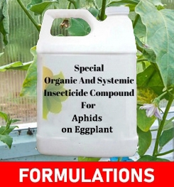 Formulations And Production Process of Organic And Systemic Insecticide Compound For Aphids on Eggplant