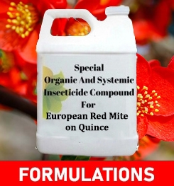 Formulations And Production Process of Organic And Systemic Insecticide Compound For European Red Mite on Quince