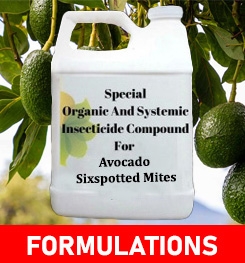 Formulations And Production Process of Organic And Systemic Insecticide Compound For Avocado Sixspotted Mites