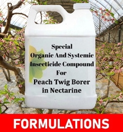 Formulations And Production Process of Organic And Systemic Insecticide Compound For Peach Twig Borer in Nectarine