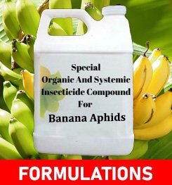 Formulations And Production Process of Organic And Systemic Insecticide Compound For Banana Aphids