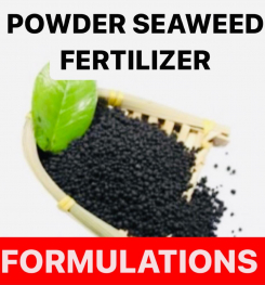 POWDER SEAWEED FERTILIZER FORMULATIONS AND PRODUCTION PROCESS