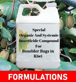 Formulations And Production Process of Organic And Systemic Insecticide Compound For Boxelder Bugs in Kiwi