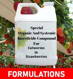 Formulations And Production Process of Organic And Systemic Insecticide Compound For Cutworms in Strawberries