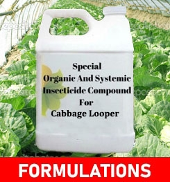 Formulations And Production Process of Organic And Systemic Insecticide Compound For Cabbage Looper