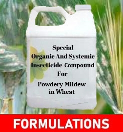 Formulations And Production Process of Organic And Systemic Fungicide Compound For Powdery Mildew in Wheat