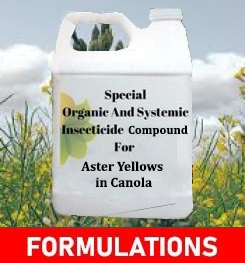 Formulations And Production Process of Organic And Systemic Fungicide Compound For Aster Yellows in Canola
