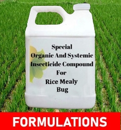 Formulations And Production Process of Organic And Systemic Insecticide Compound For Rice Mealy Bug